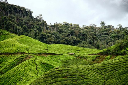 Malaysia